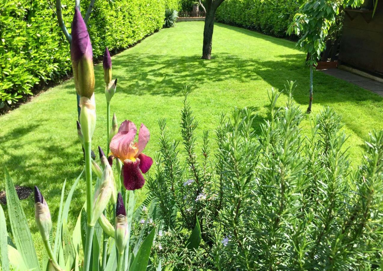 Villa "Corte De' Baldi" Ortignano Raggiolo Kültér fotó